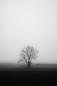 Trauer und Frieden